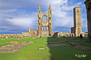 St. Andrews Cathedral 2