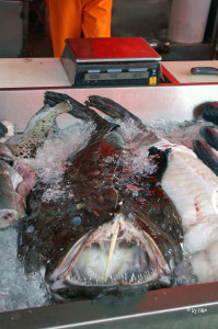 Fischmarkt Bergen 