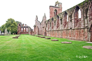 Arbroath Abbey 3