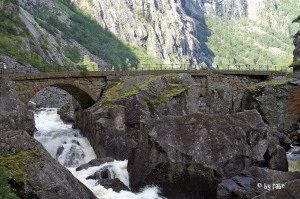 alte Brücke im Nationalpark Hardangervidda 1